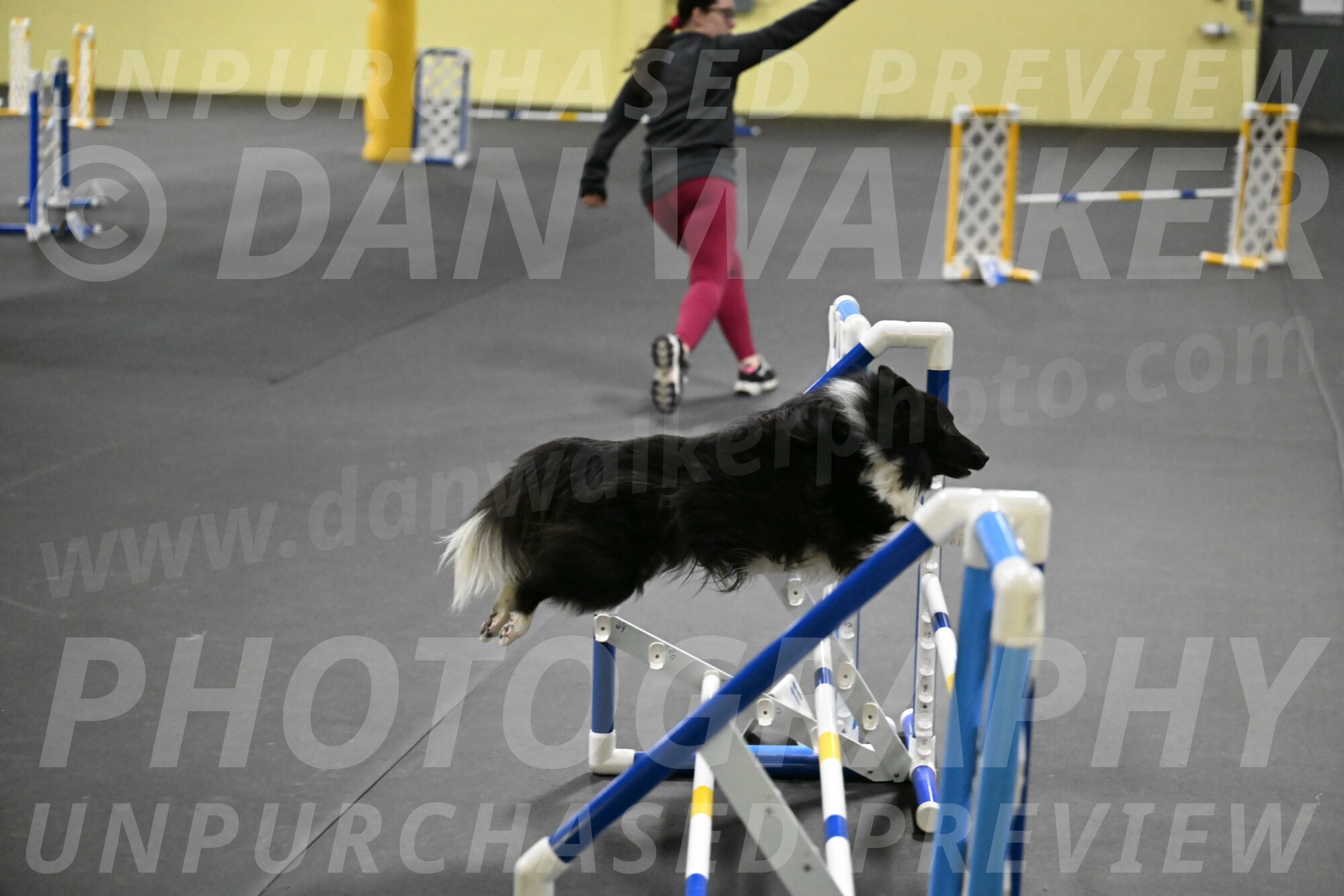 Rigel-Weinrich-00998