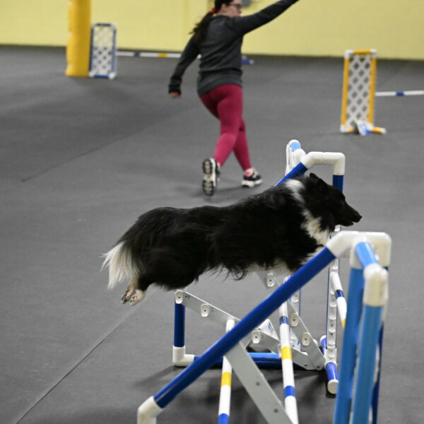 Rigel-Weinrich-00998