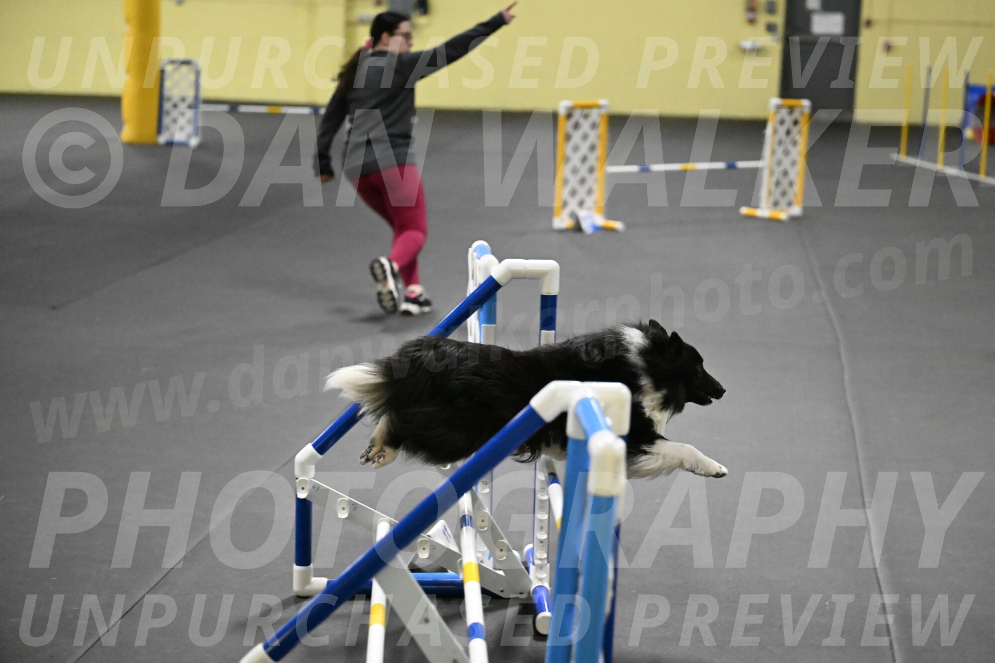 Rigel-Weinrich-00999