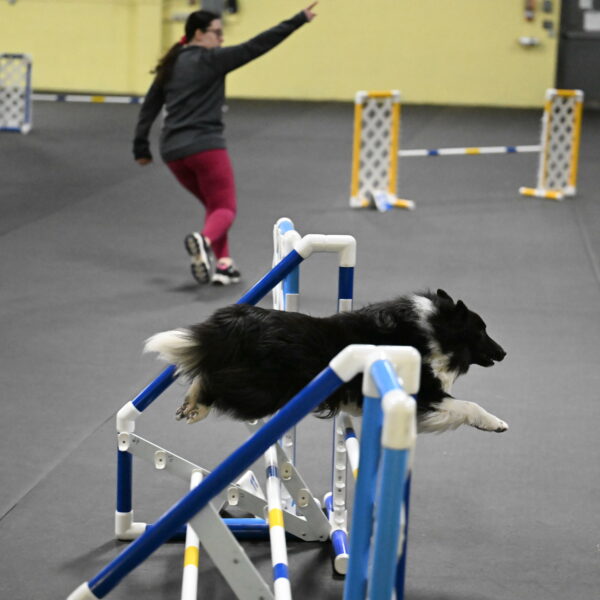 Rigel-Weinrich-00999