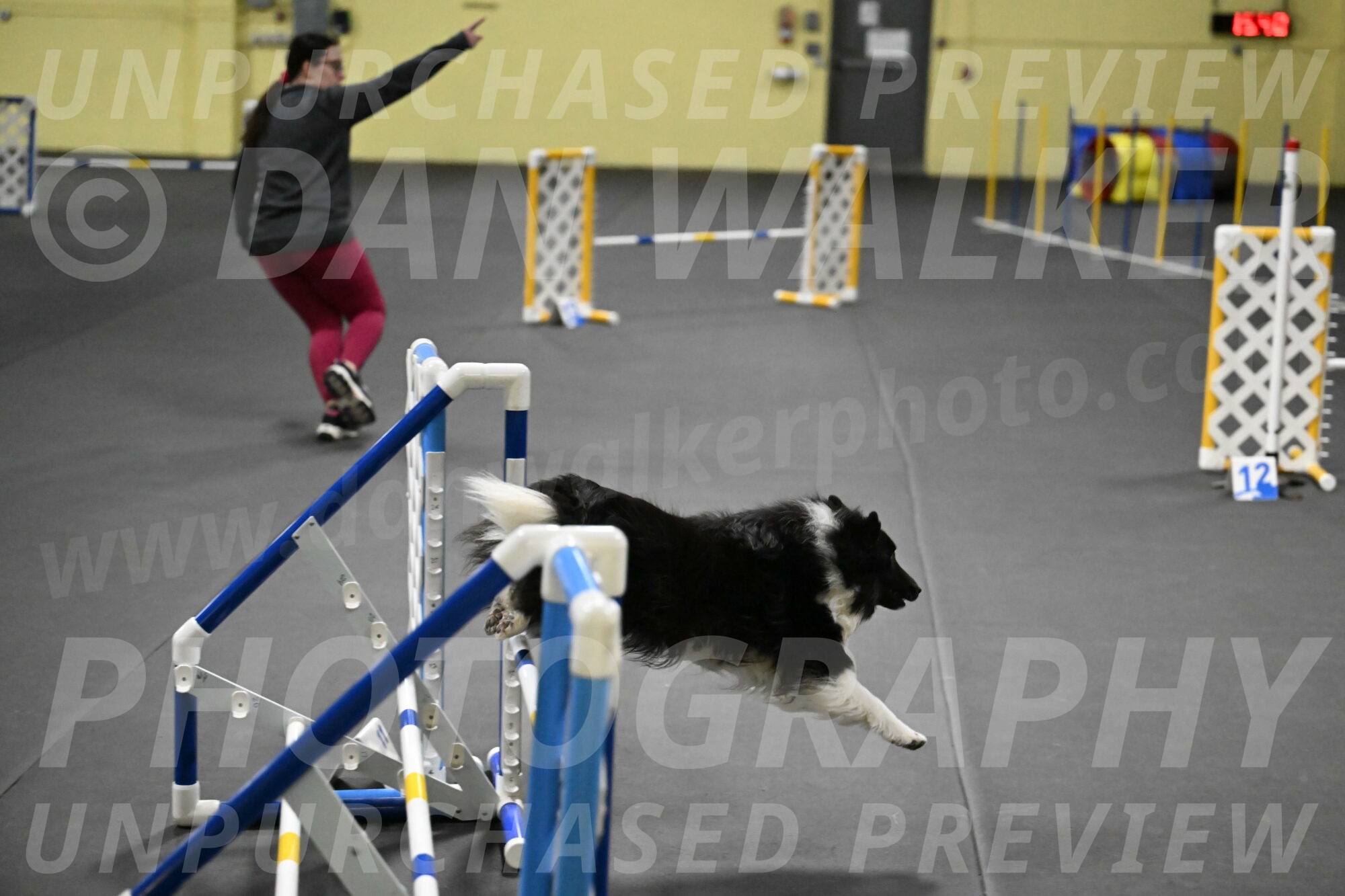 Rigel-Weinrich-01000