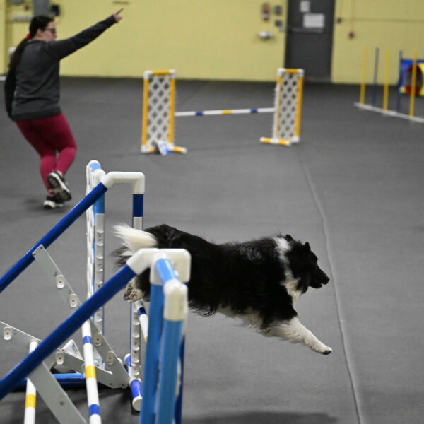 Rigel-Weinrich-01000