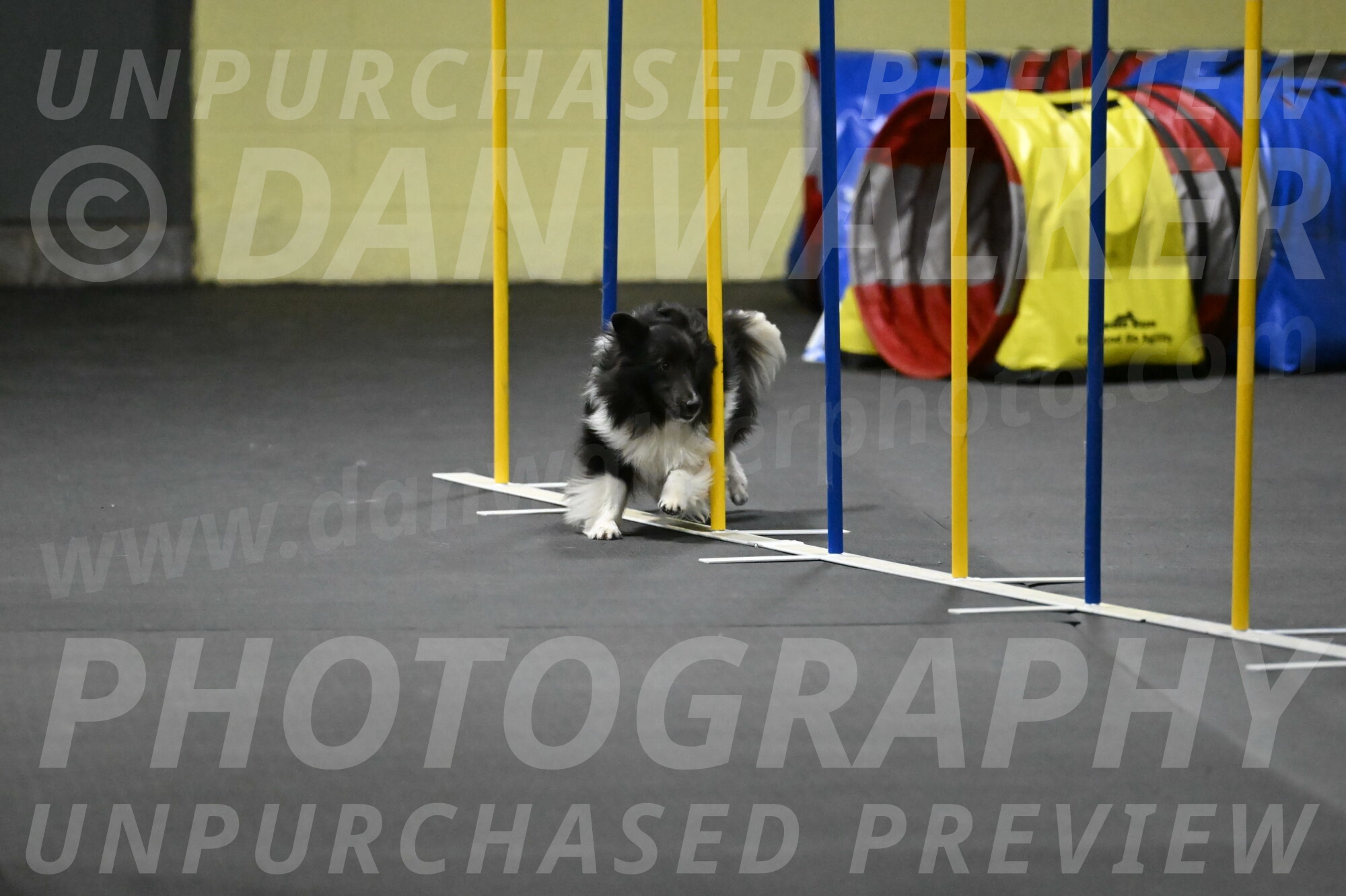 Rigel-Weinrich-01007