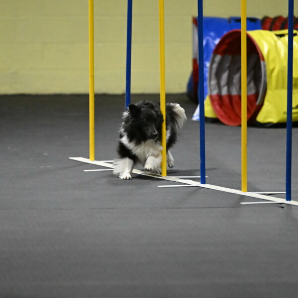 Rigel-Weinrich-01007