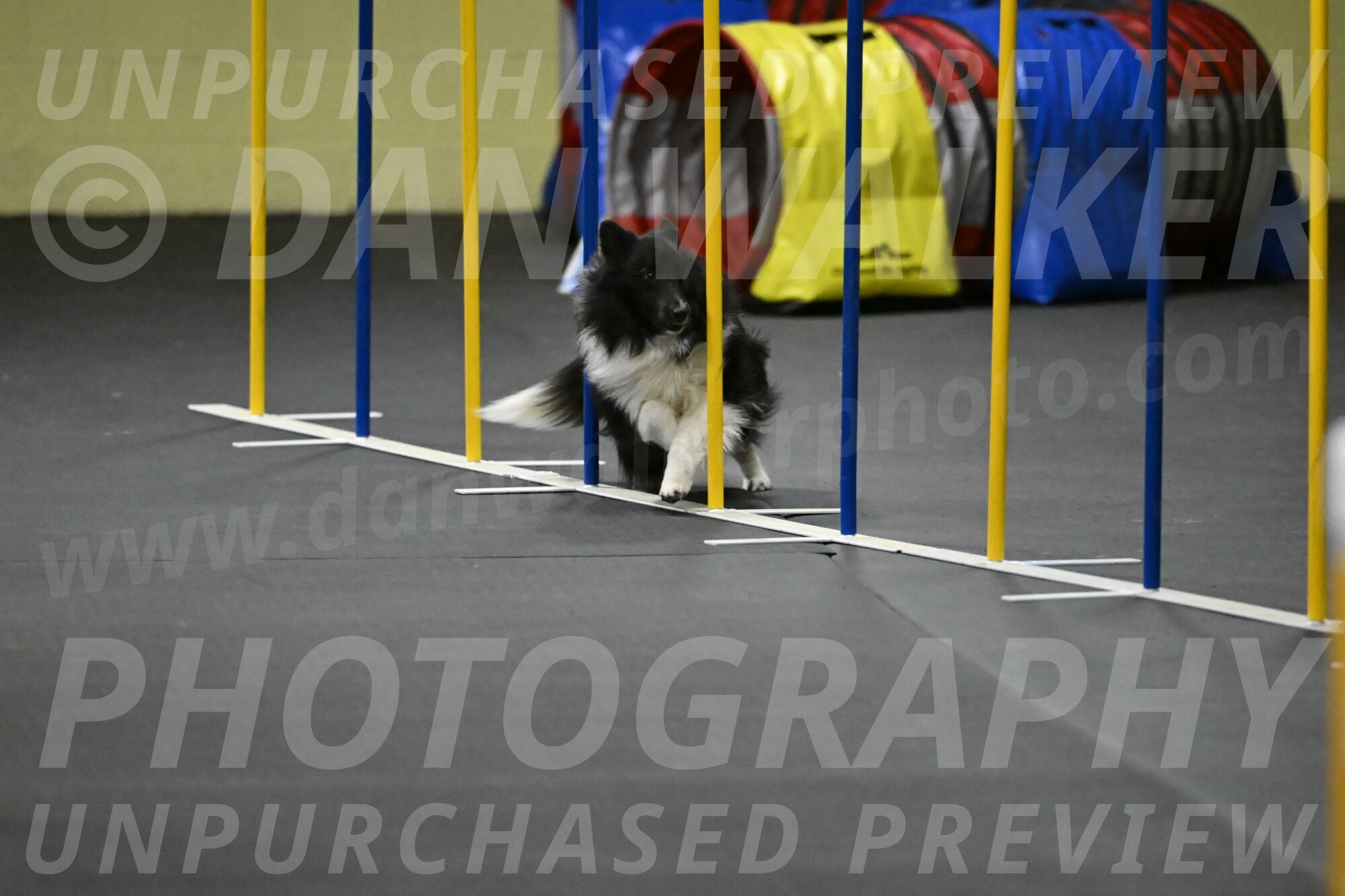 Rigel-Weinrich-01013