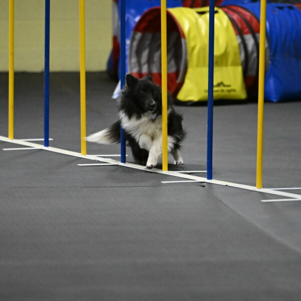 Rigel-Weinrich-01013