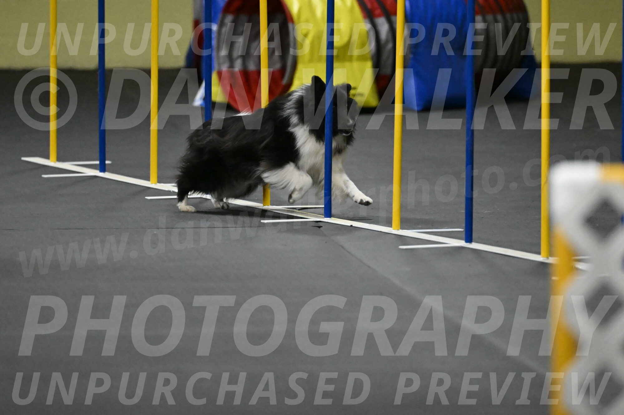 Rigel-Weinrich-01016