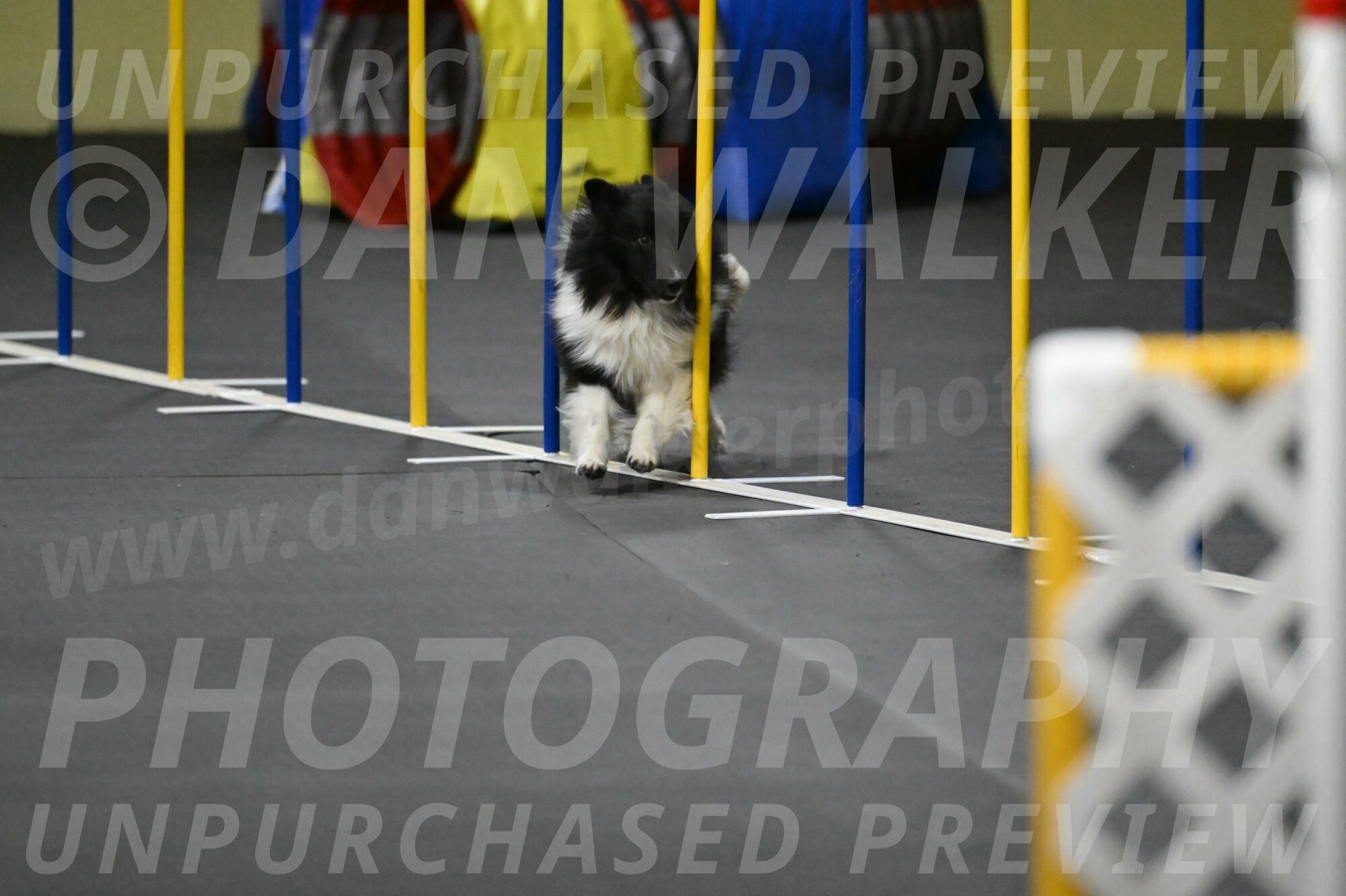 Rigel-Weinrich-01020