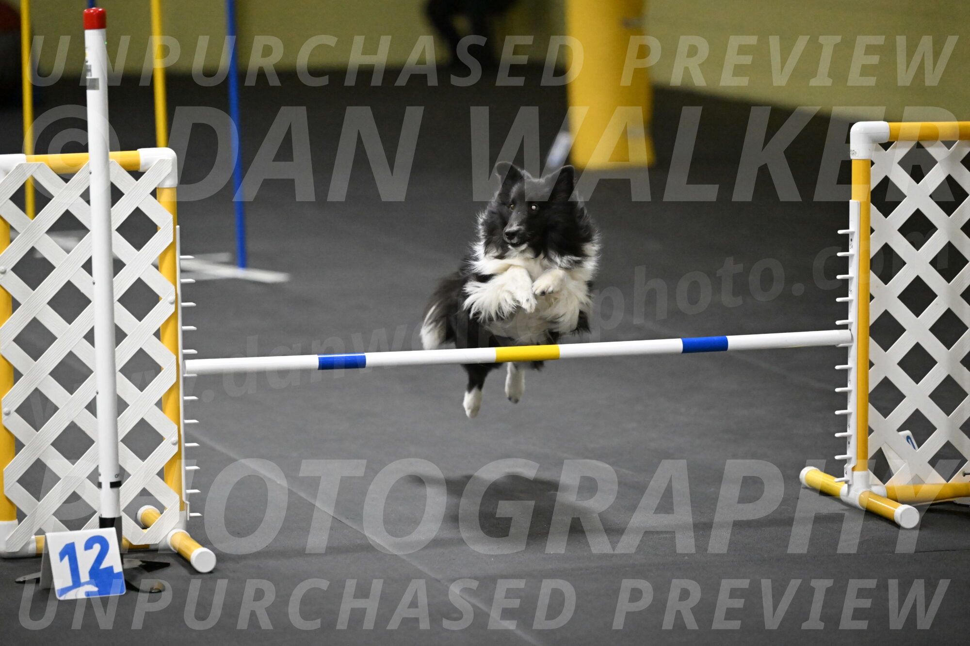 Rigel-Weinrich-01028