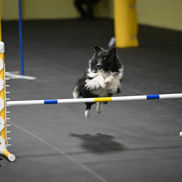 Rigel-Weinrich-01028