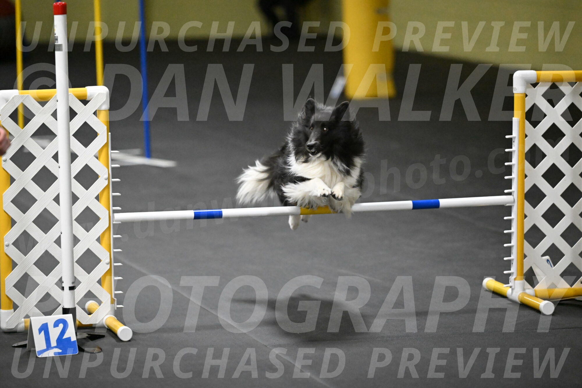 Rigel-Weinrich-01029