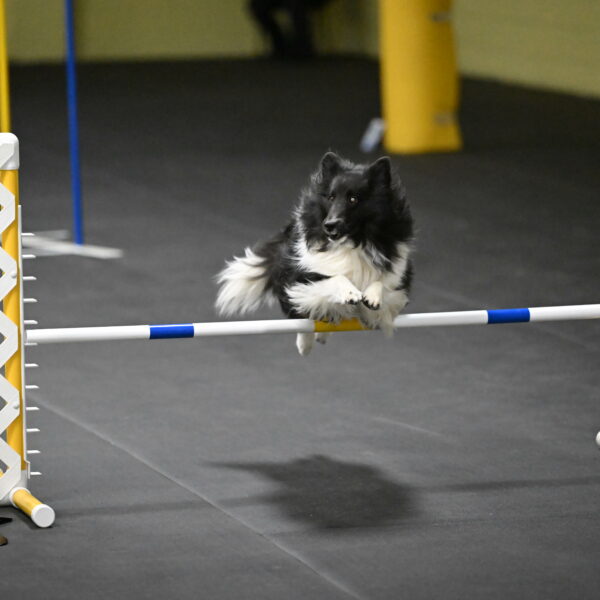 Rigel-Weinrich-01029