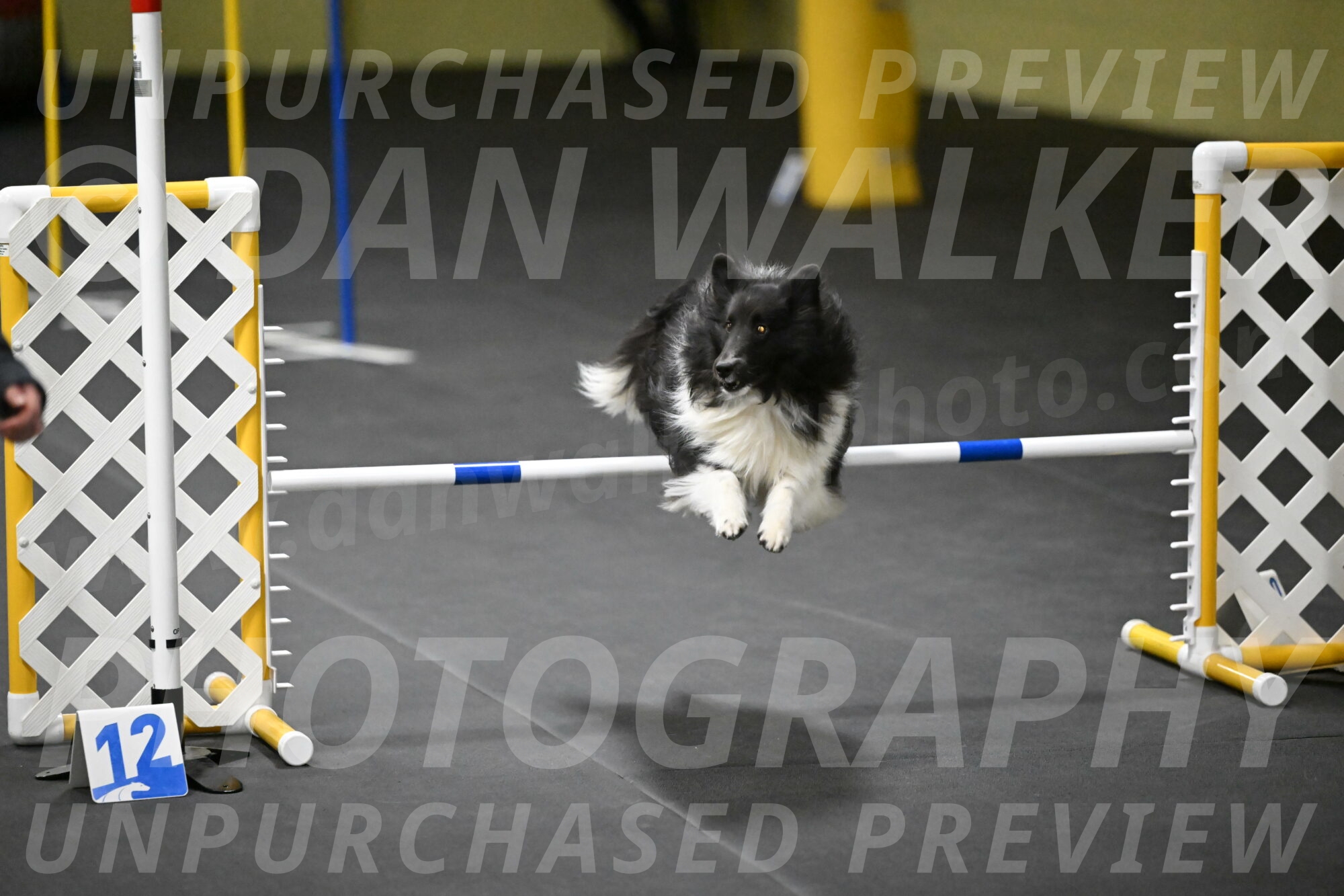 Rigel-Weinrich-01030