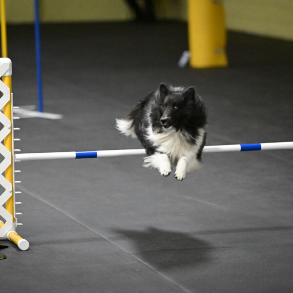 Rigel-Weinrich-01030