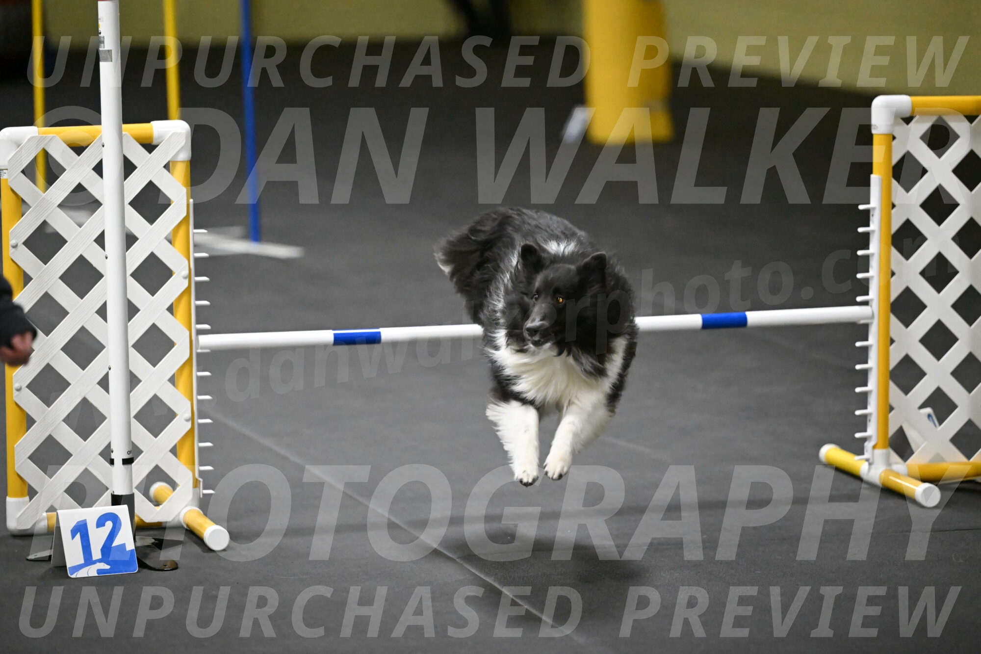 Rigel-Weinrich-01031