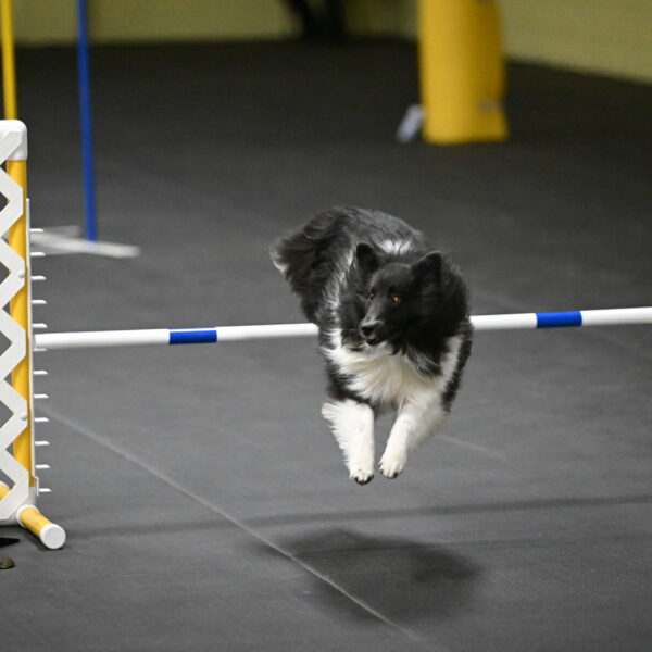 Rigel-Weinrich-01031