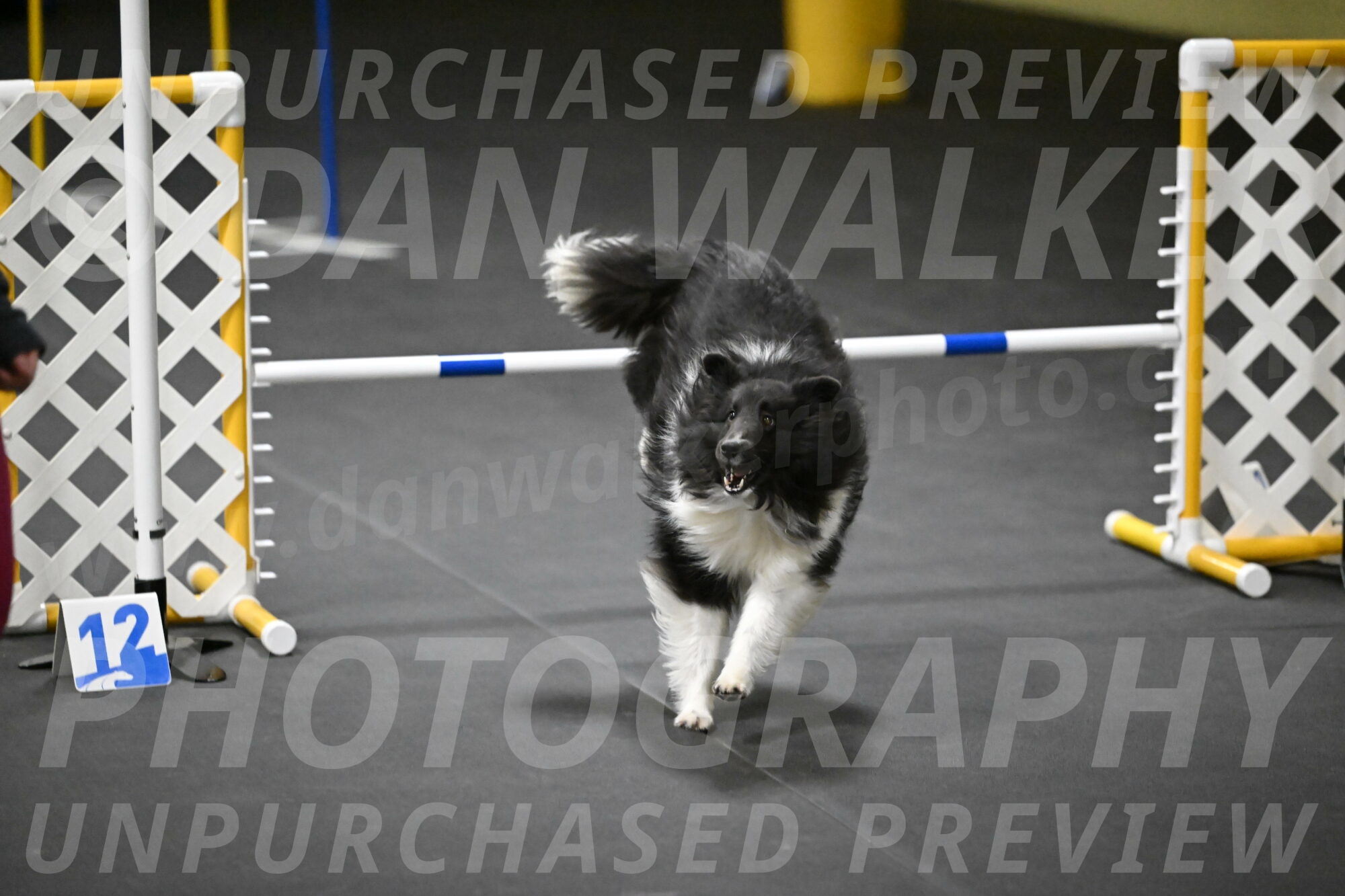 Rigel-Weinrich-01032