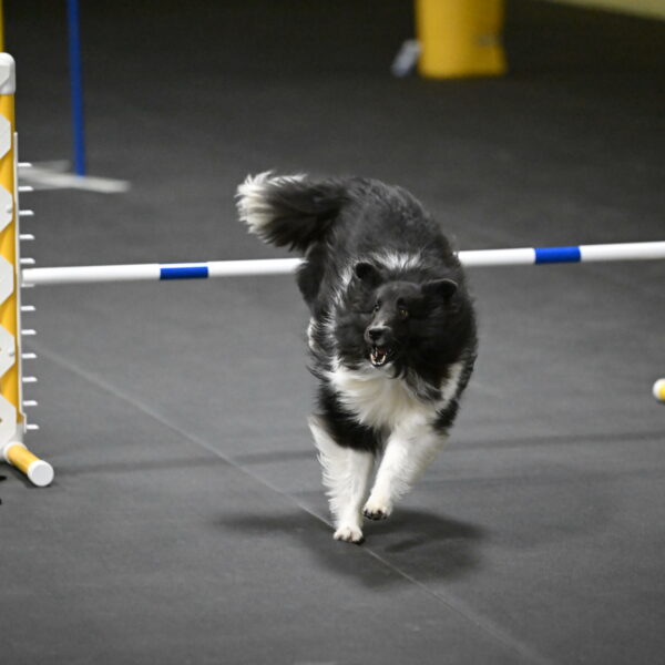 Rigel-Weinrich-01032