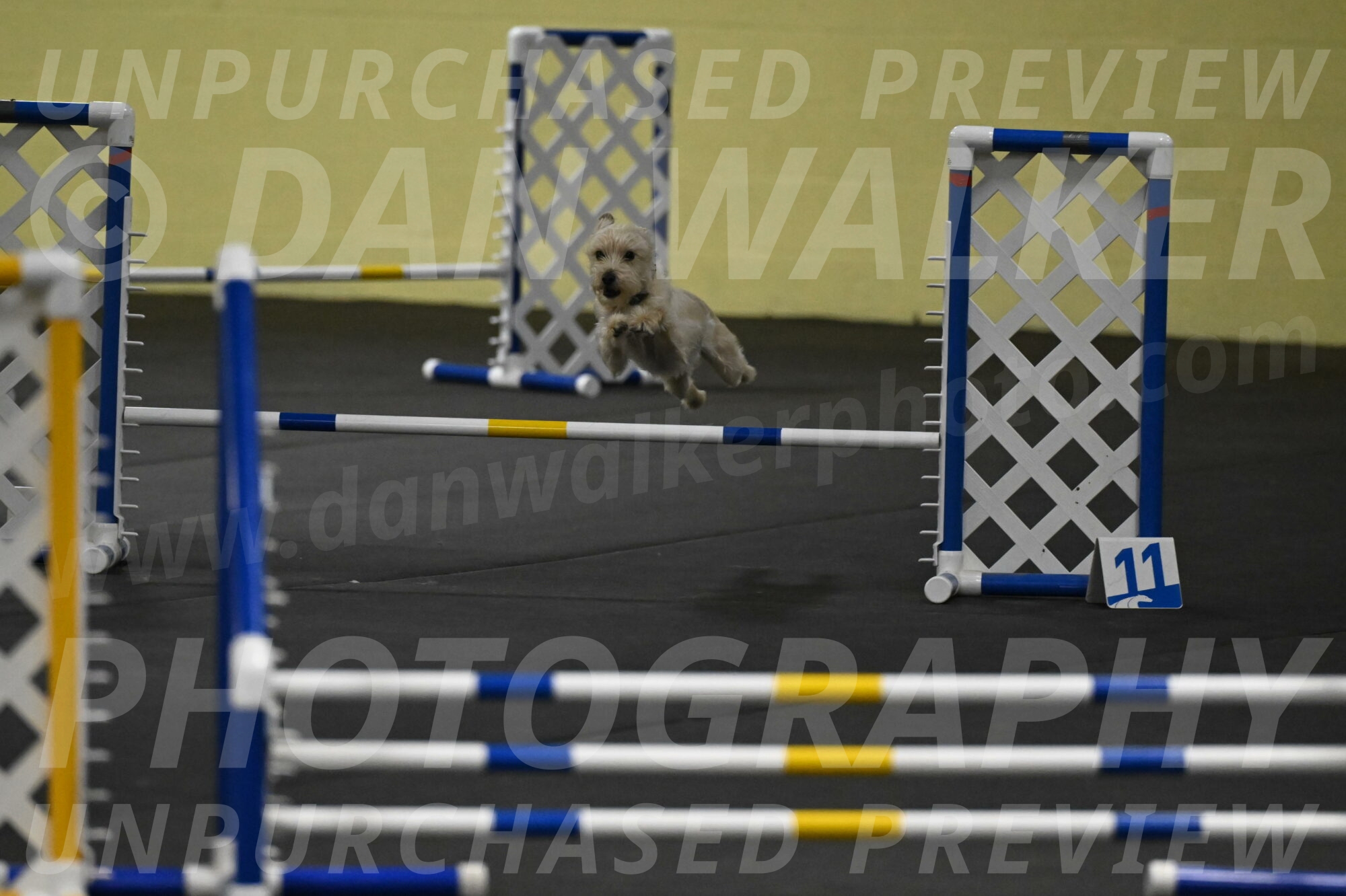 Sammy-Klembara-12209