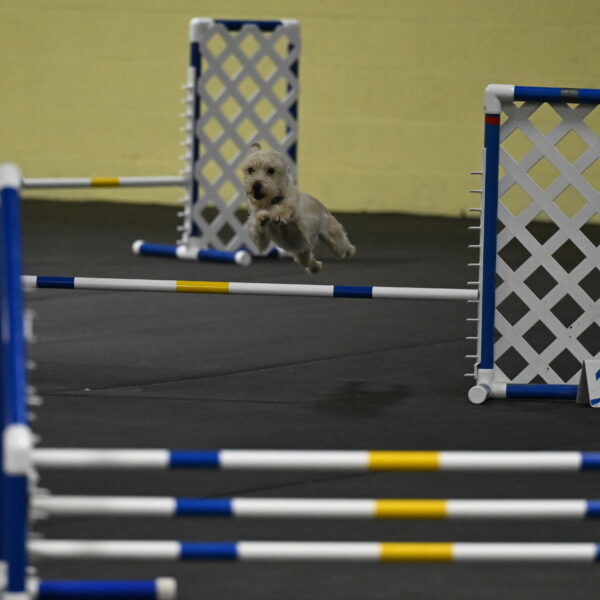 Sammy-Klembara-12209