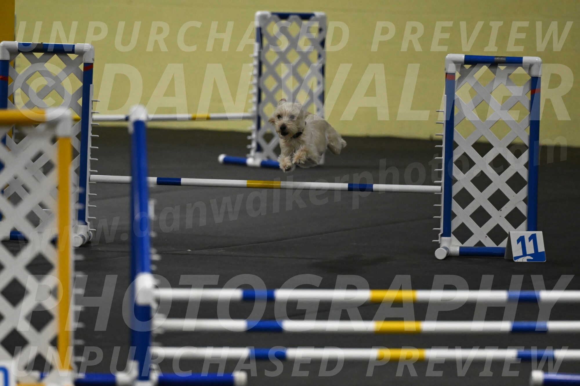 Sammy-Klembara-12210