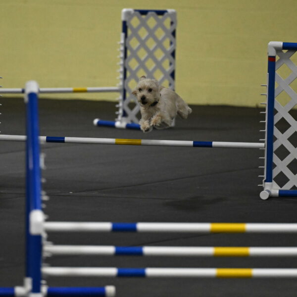 Sammy-Klembara-12210