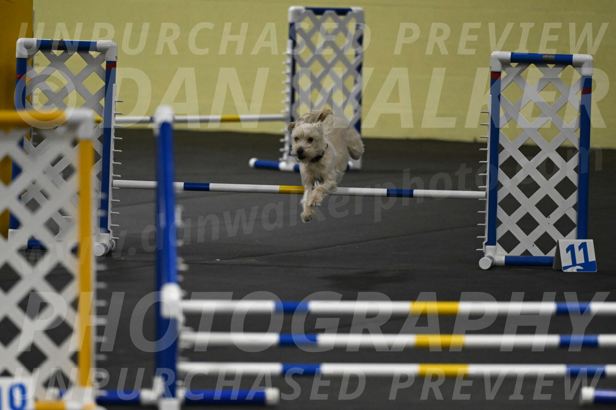 Sammy-Klembara-12211