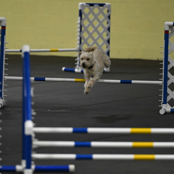 Sammy-Klembara-12211