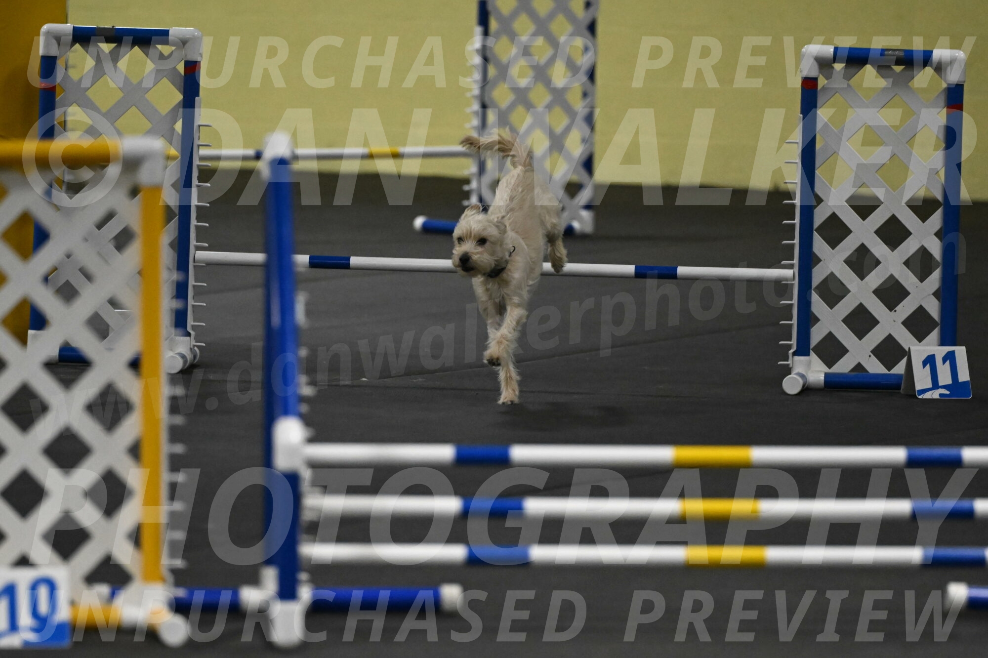 Sammy-Klembara-12212