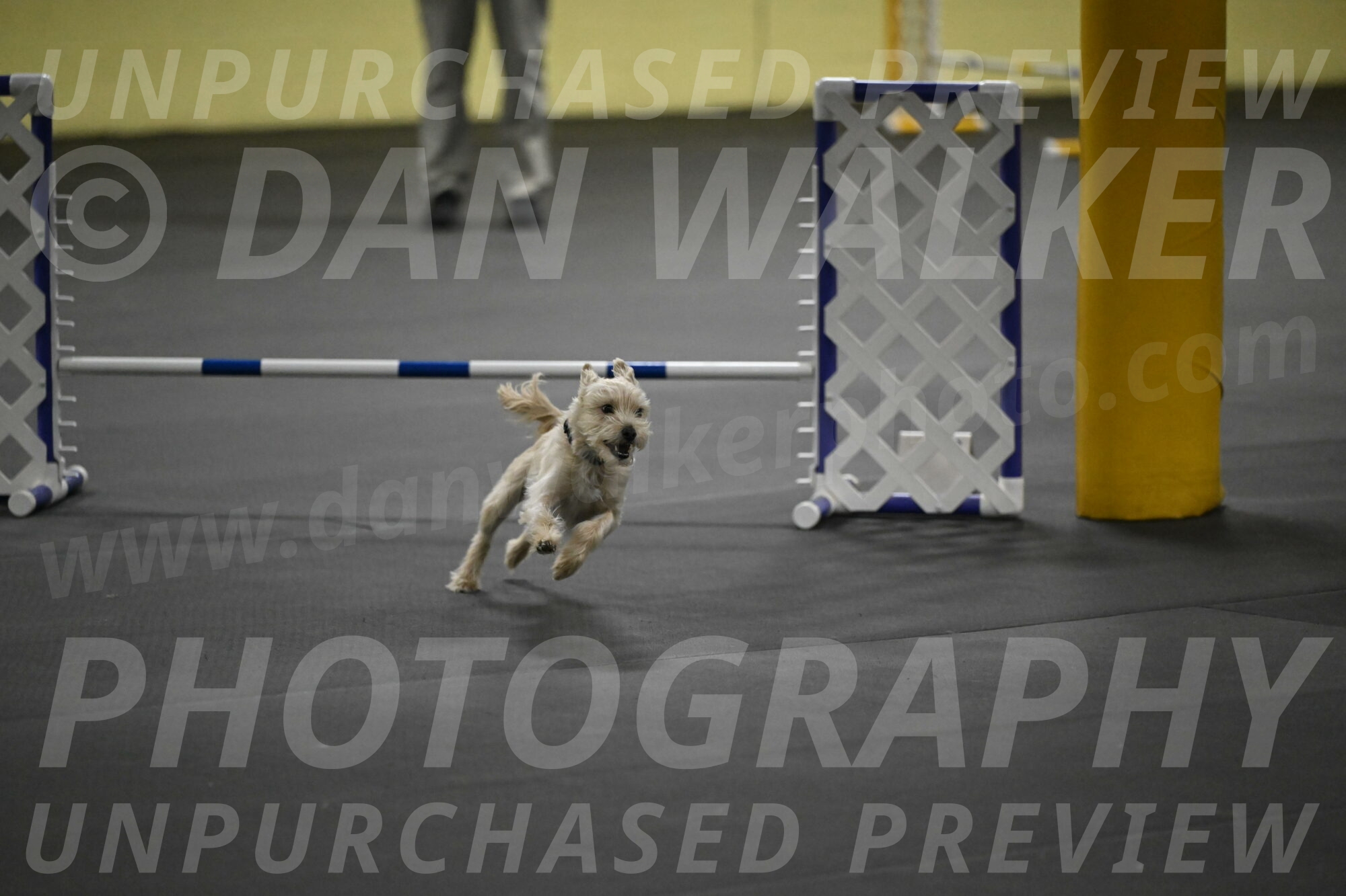 Sammy-Klembara-12231