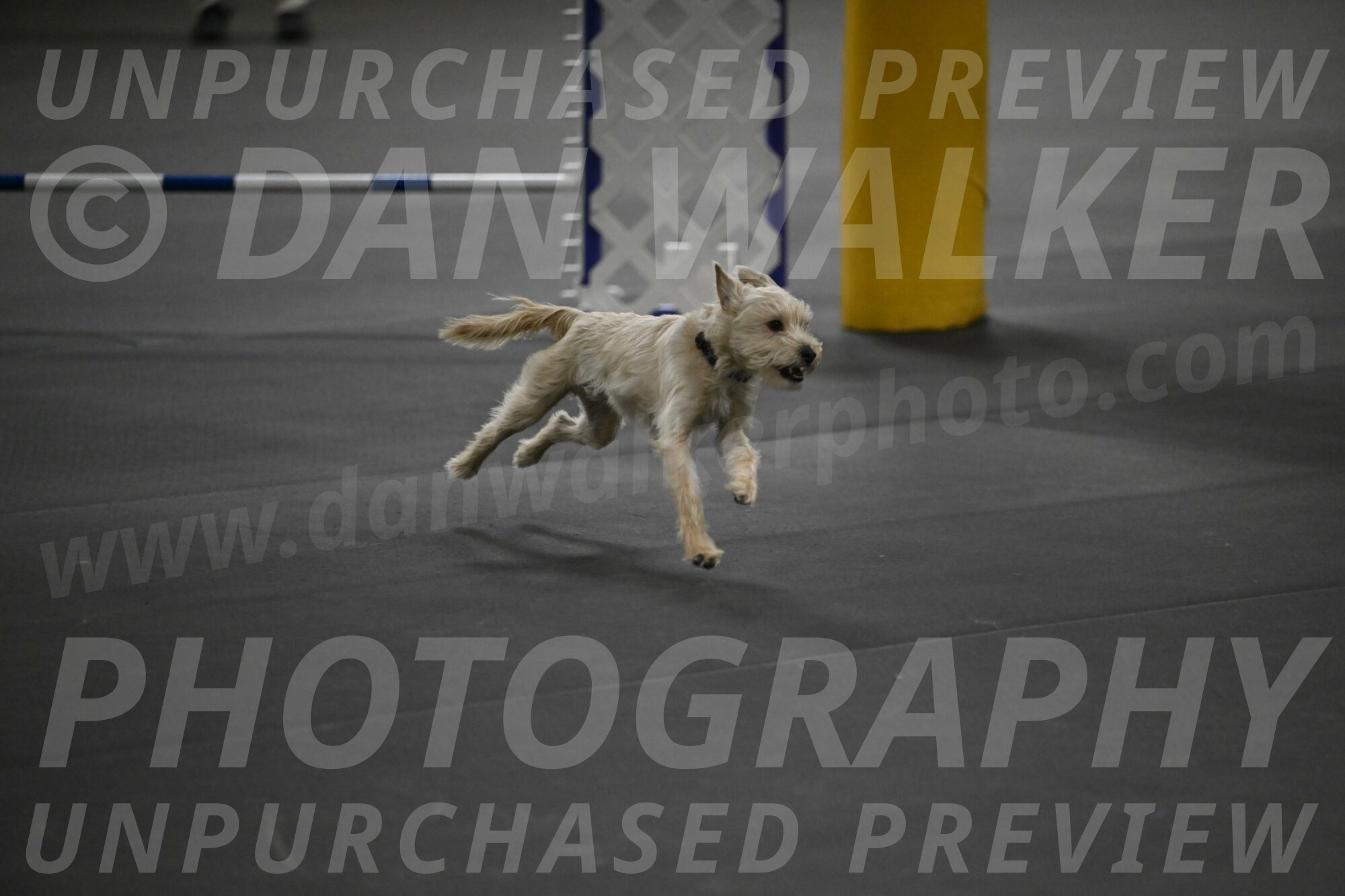 Sammy-Klembara-12234