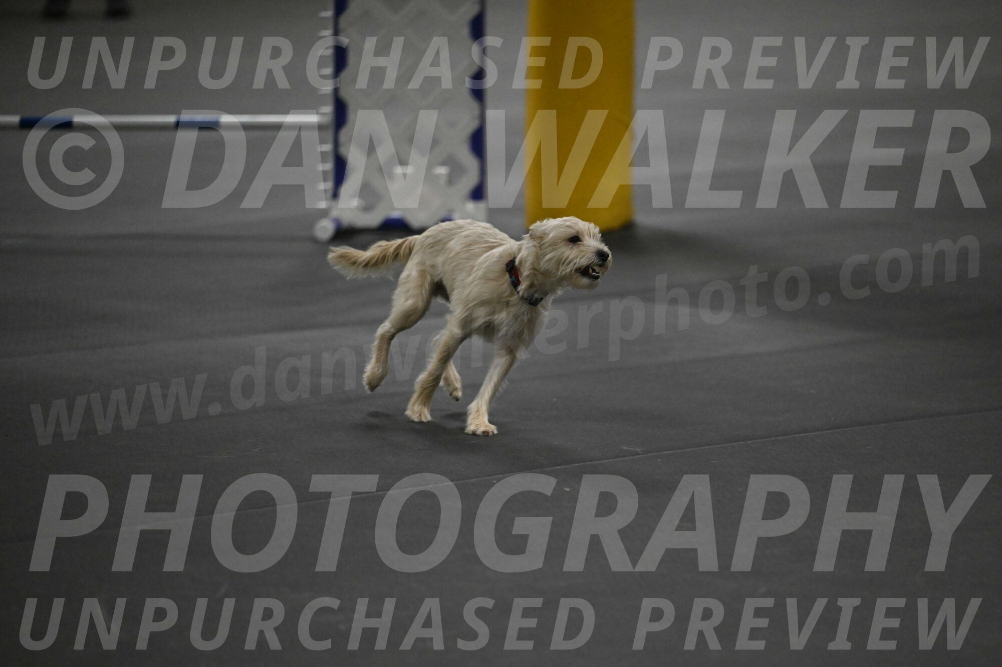 Sammy-Klembara-12235