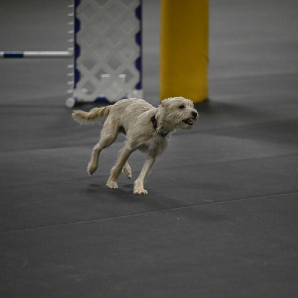 Sammy-Klembara-12235