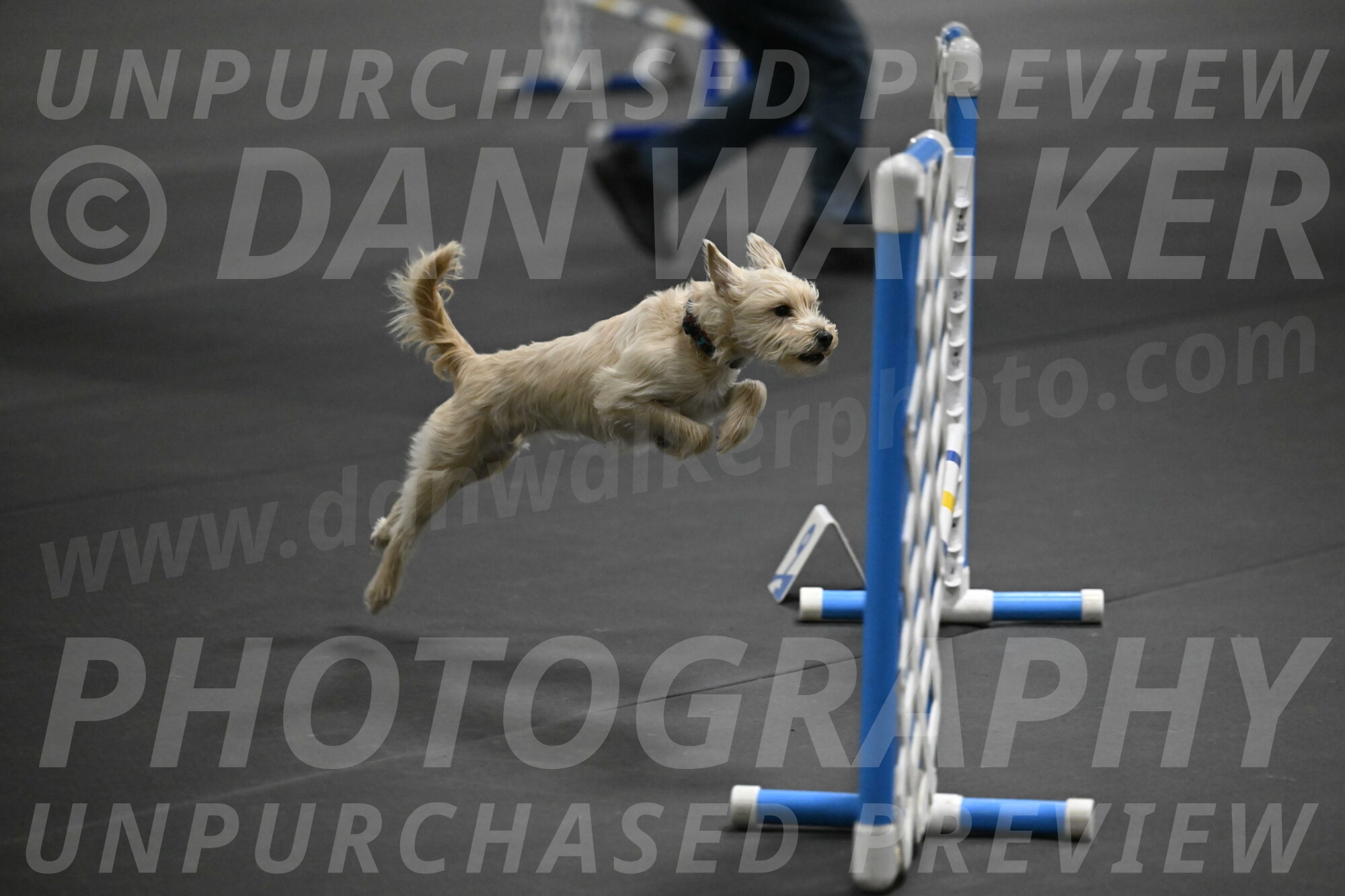 Sammy-Klembara-12238