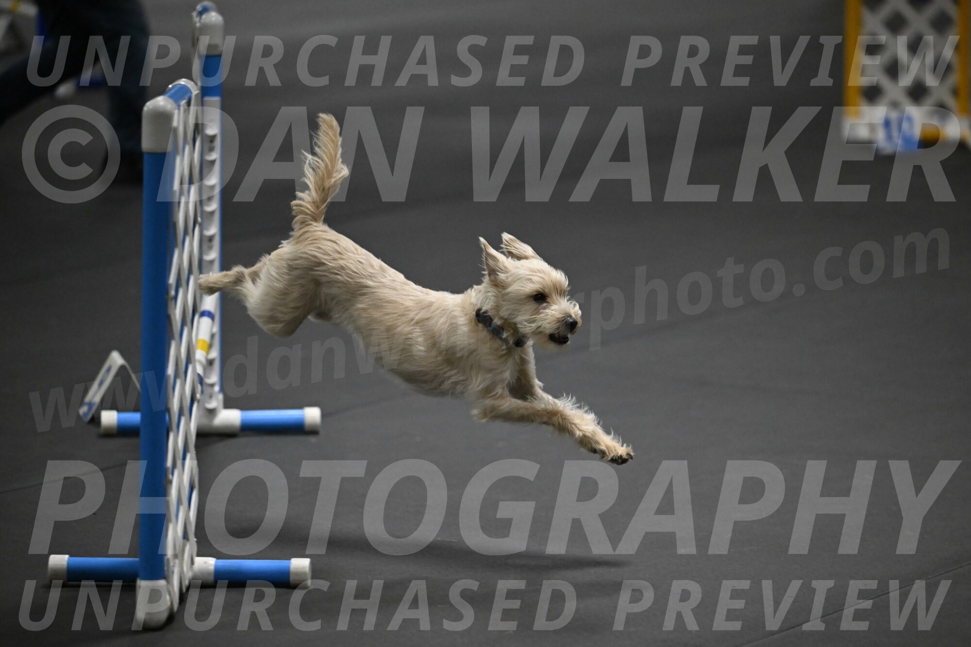 Sammy-Klembara-12241