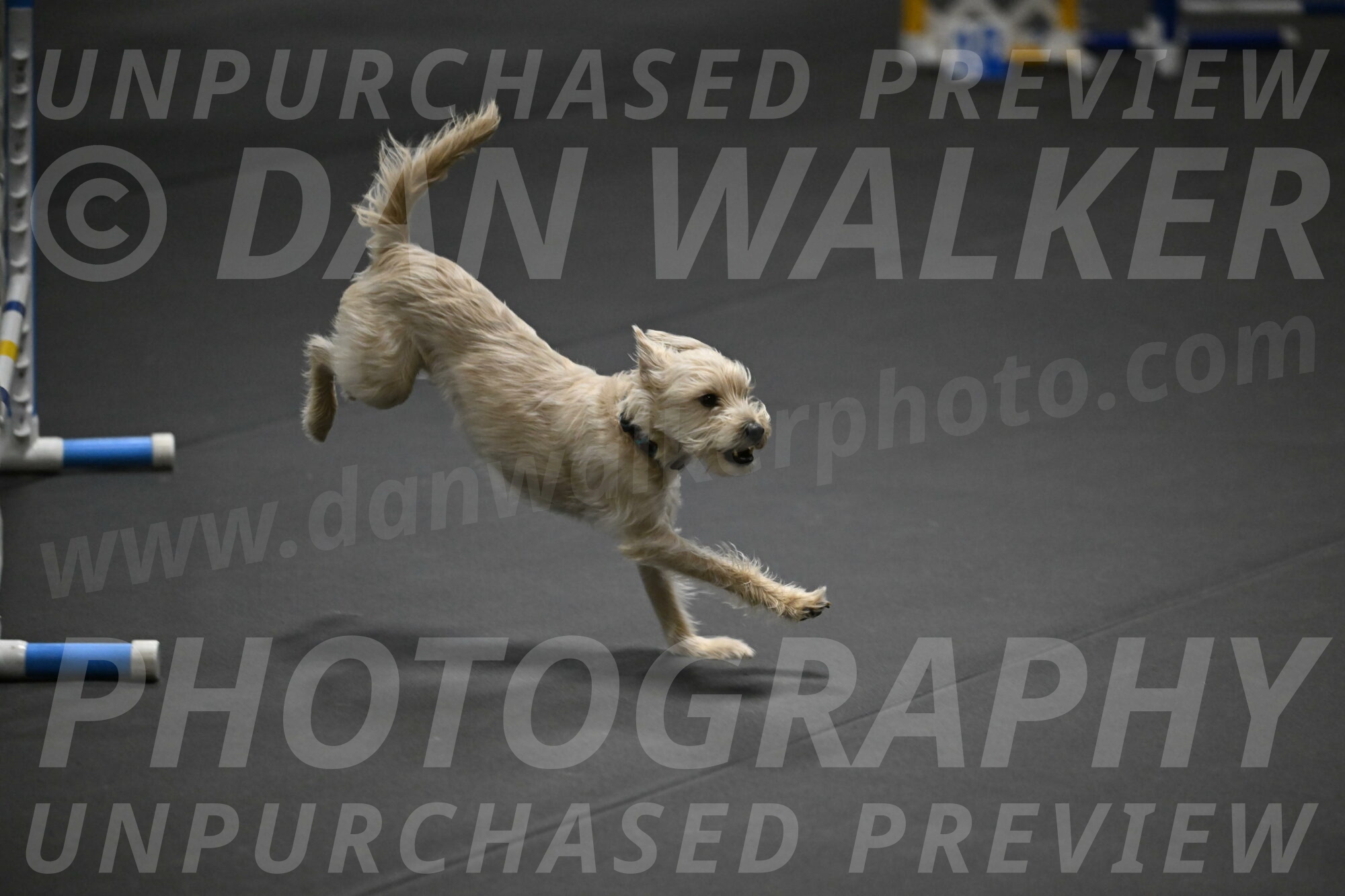 Sammy-Klembara-12242