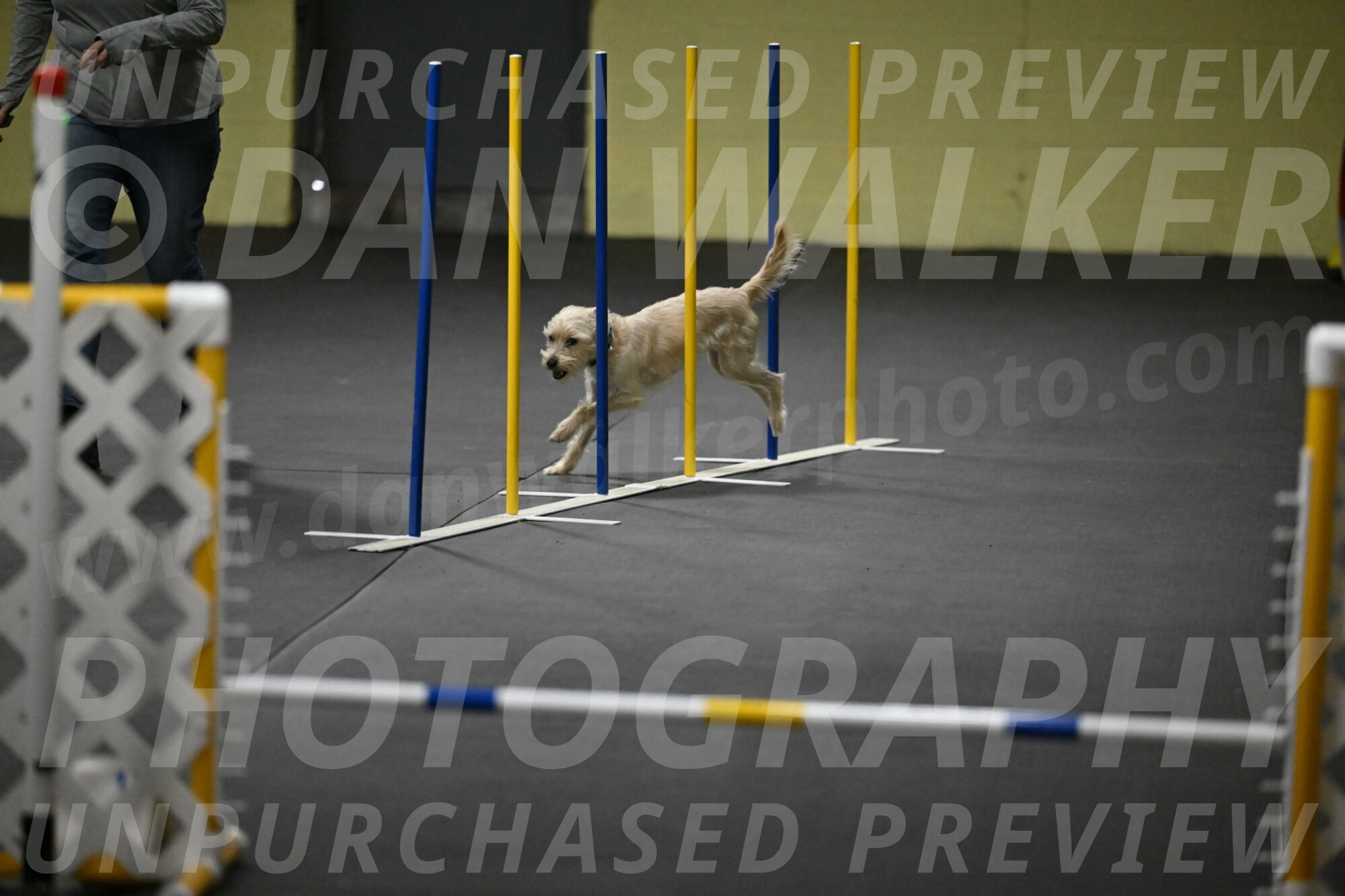 Sammy-Klembara-12244