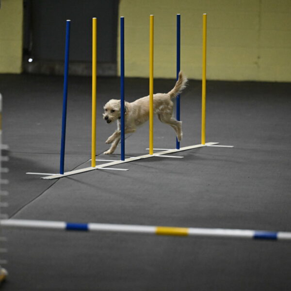 Sammy-Klembara-12244