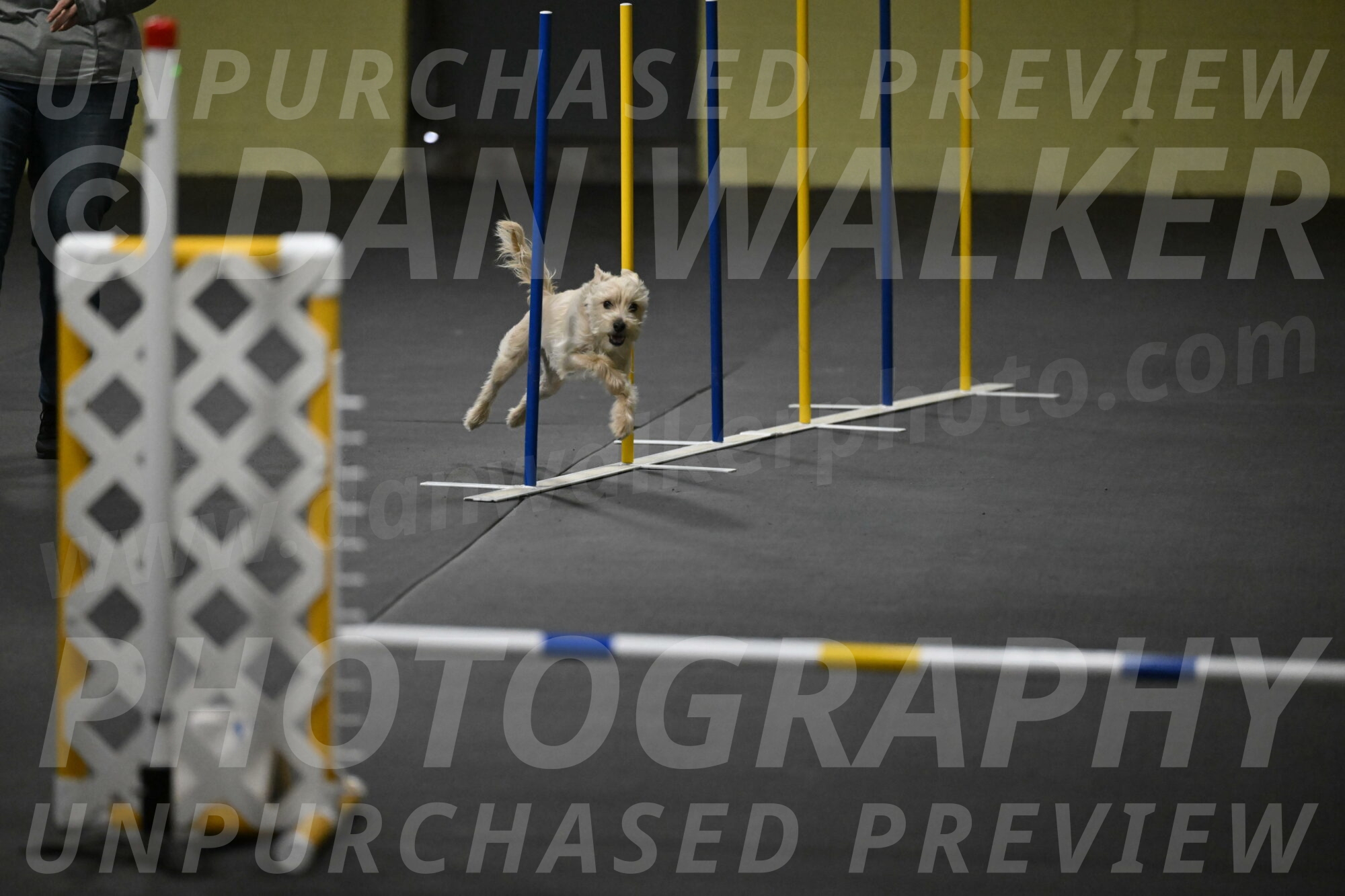 Sammy-Klembara-12249