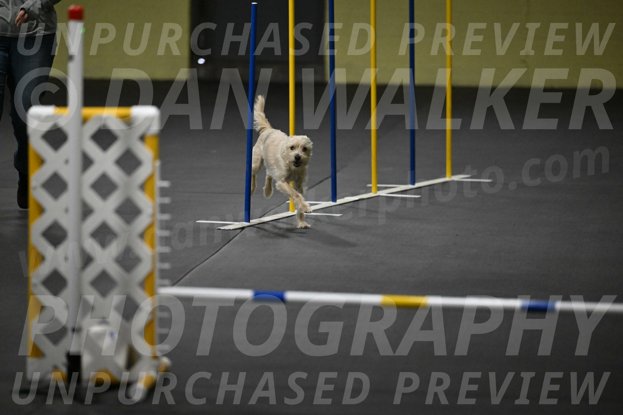 Sammy-Klembara-12250