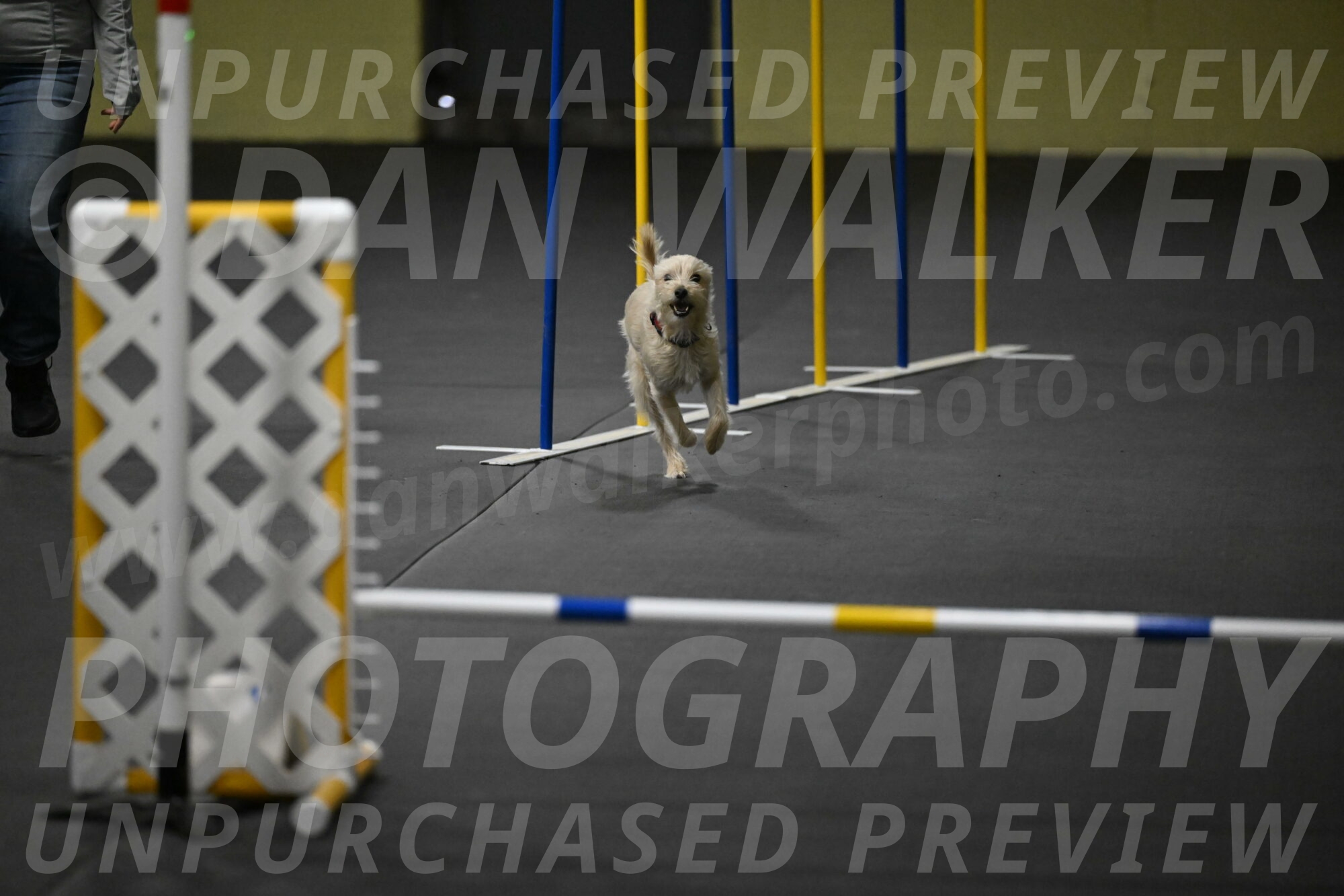 Sammy-Klembara-12251