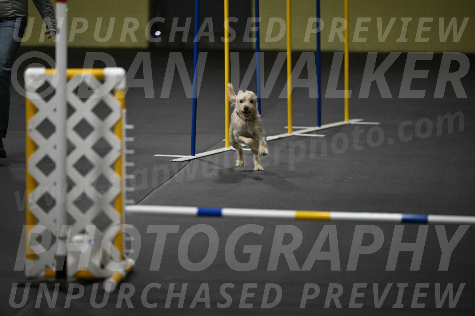 Sammy-Klembara-12252