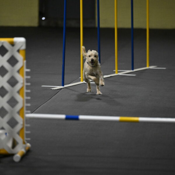 Sammy-Klembara-12252