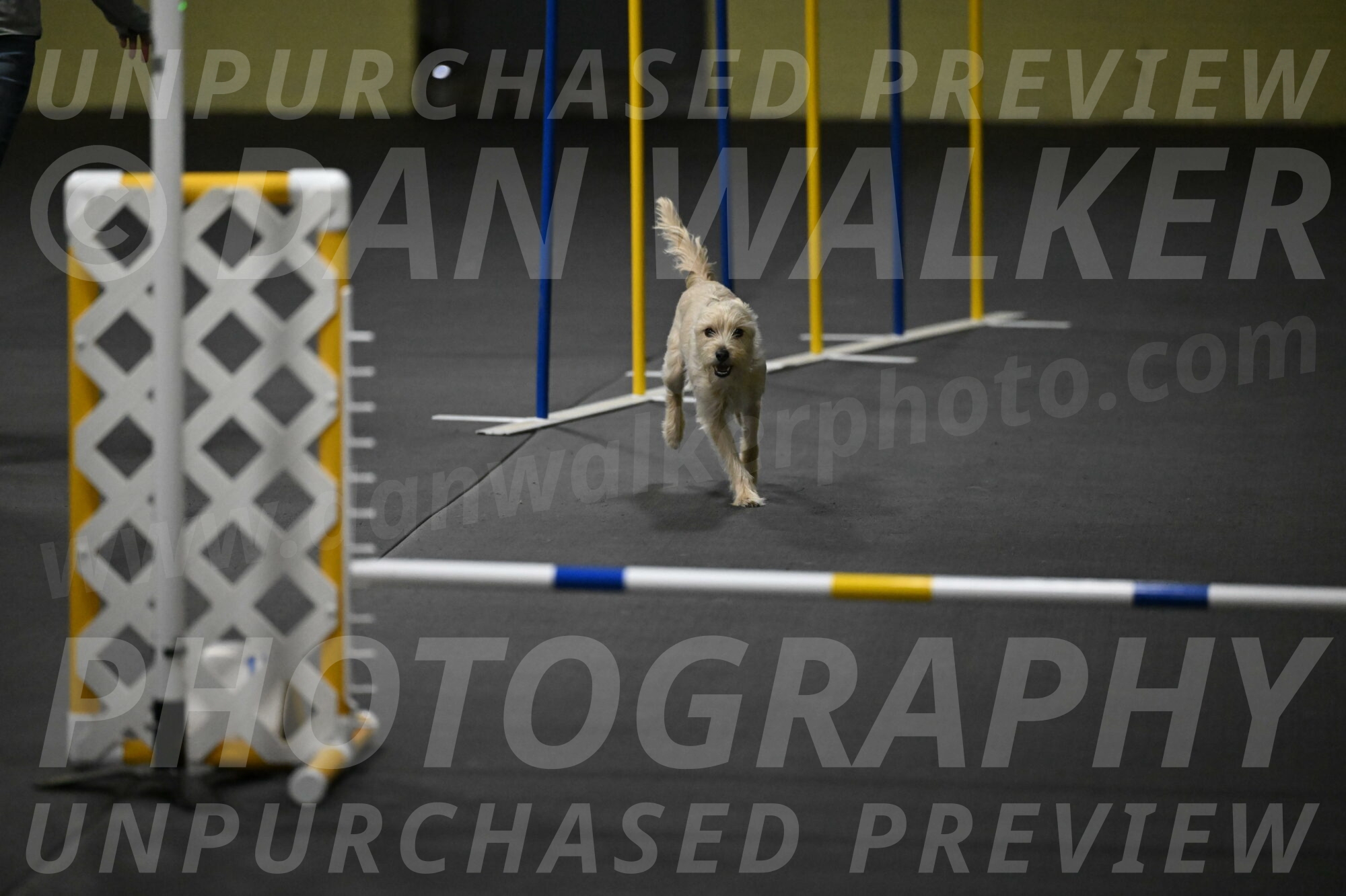 Sammy-Klembara-12253