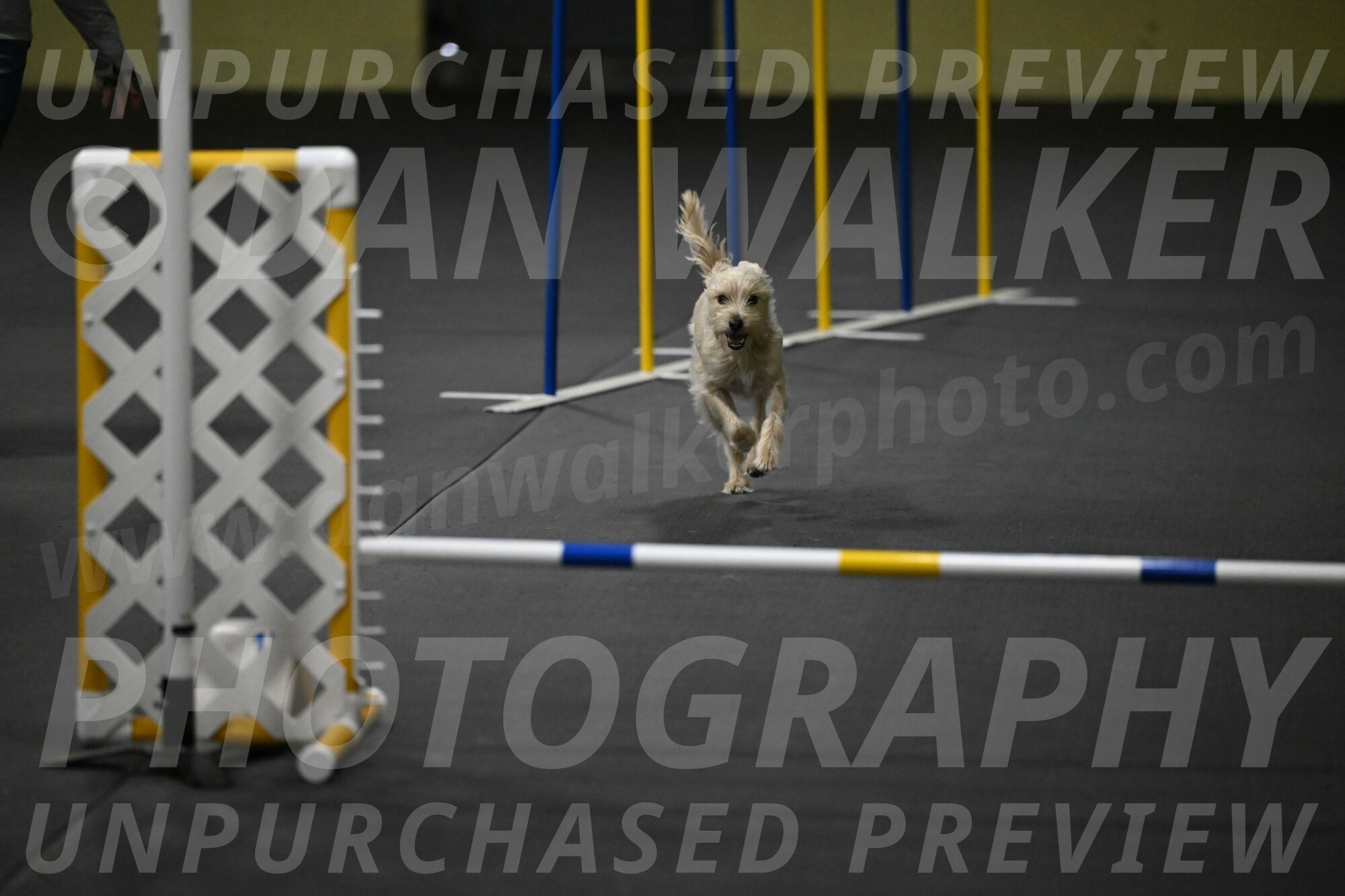 Sammy-Klembara-12255