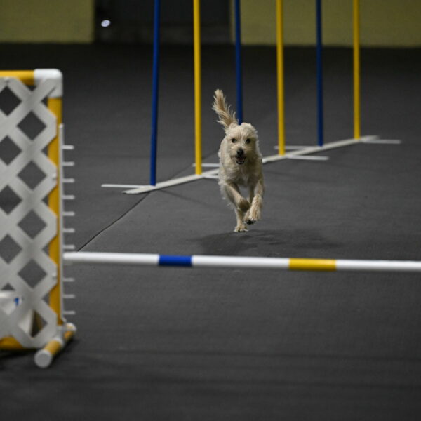 Sammy-Klembara-12255