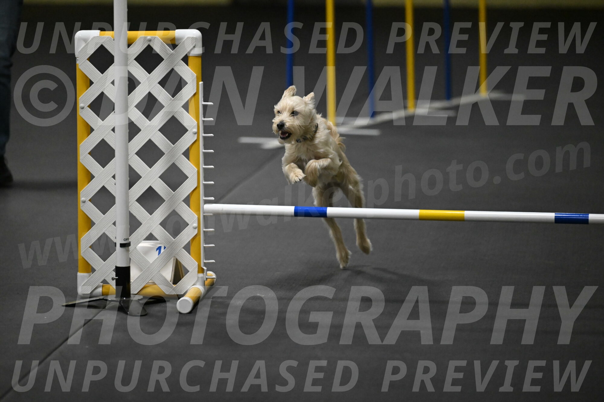 Sammy-Klembara-12258