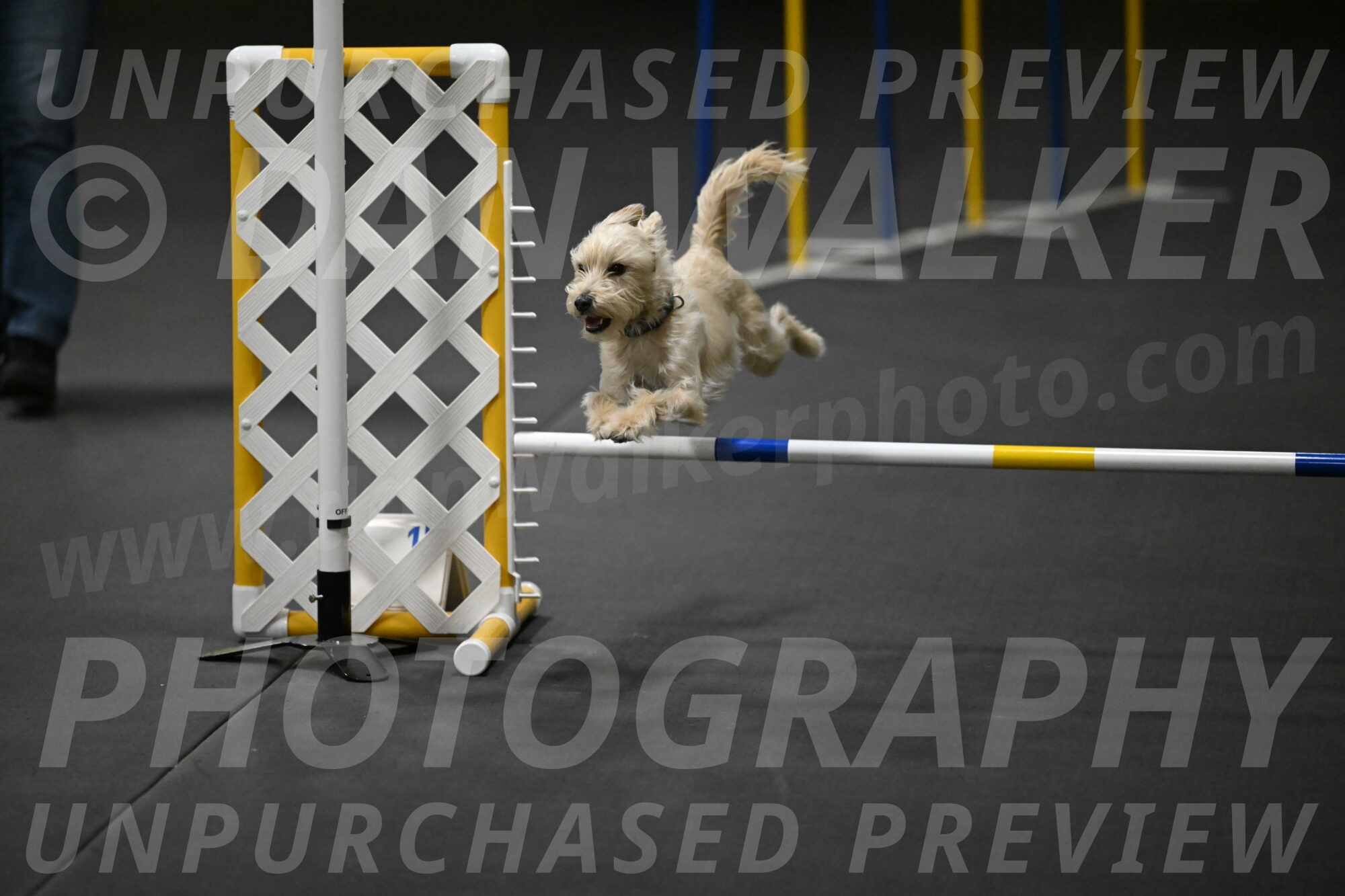 Sammy-Klembara-12260