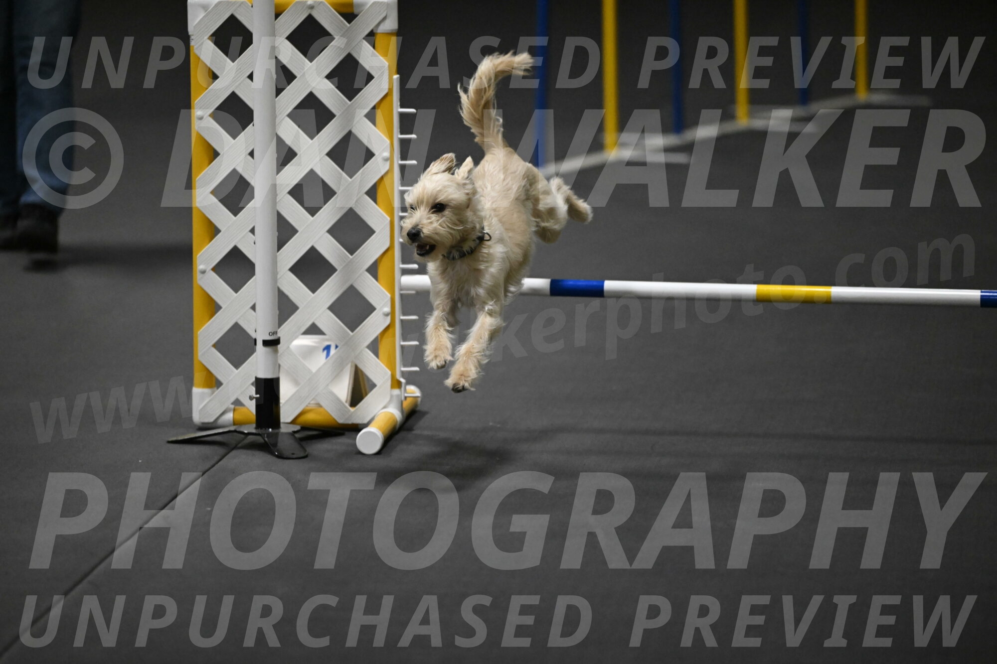 Sammy-Klembara-12261