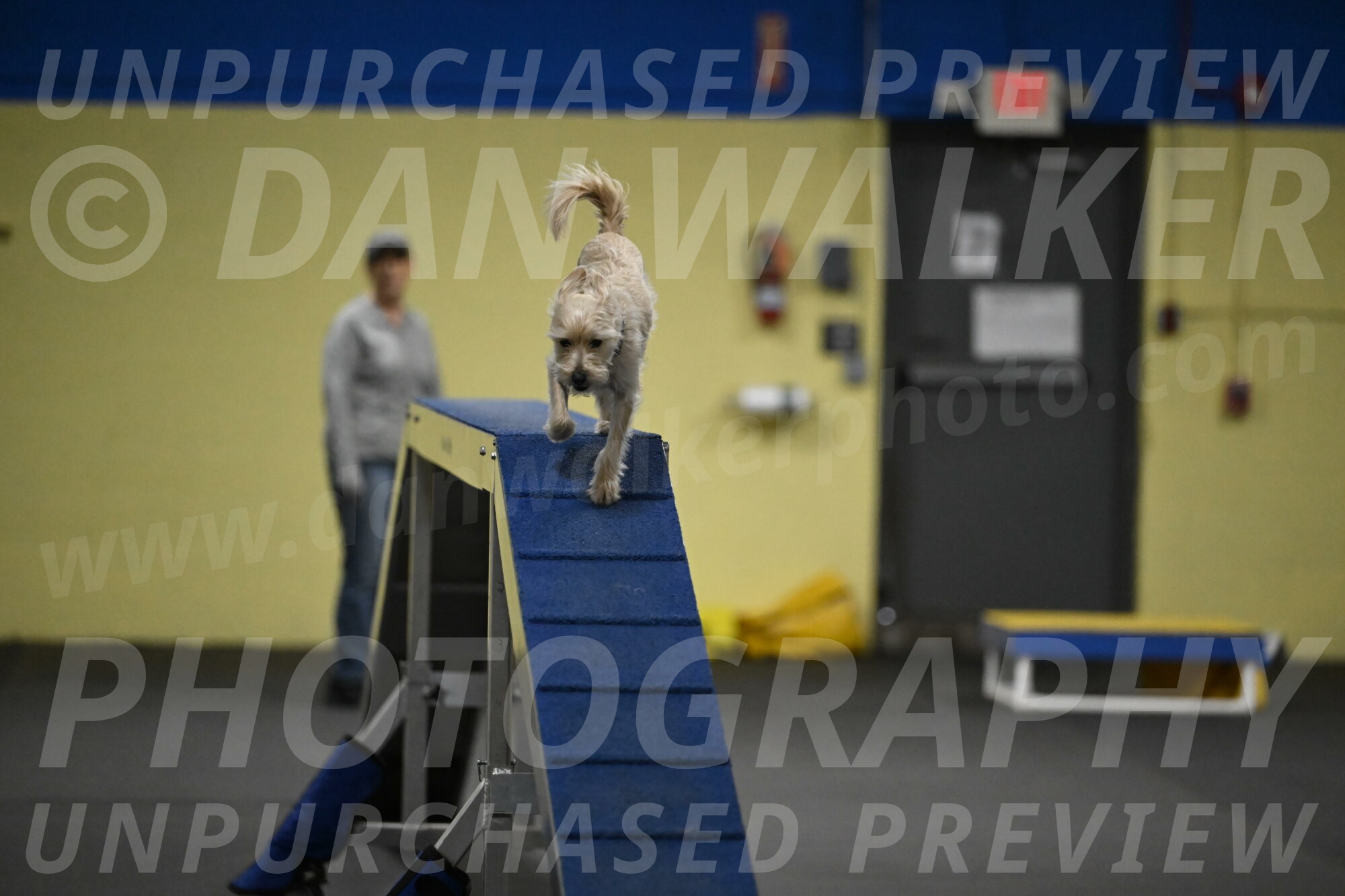 Sammy-Klembara-12271